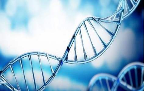 百傲2019再穫三(san)證，進(jin)入DNA免提時代