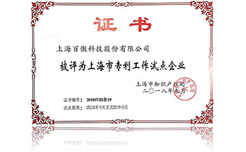 上海市專利工作試點企業